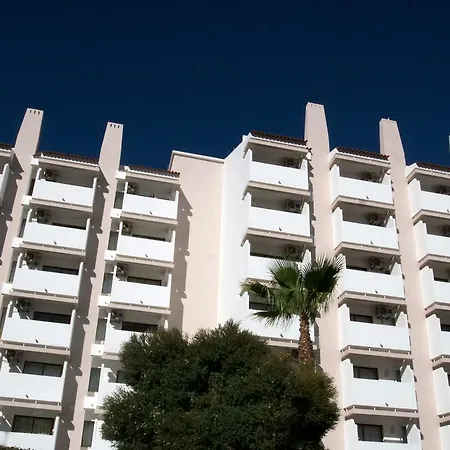 Mirachoro 阿尔布费拉