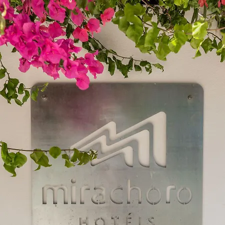 Mirachoro アルブフェイラ